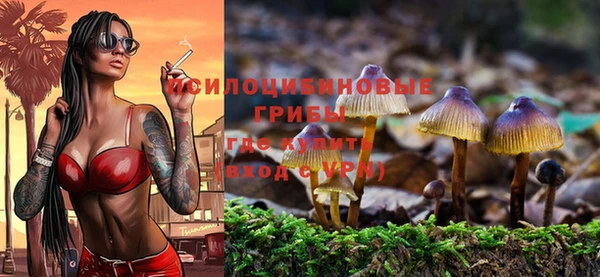 сатива Володарск