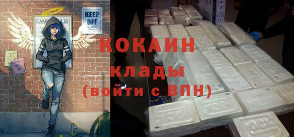 ПСИЛОЦИБИНОВЫЕ ГРИБЫ Вяземский