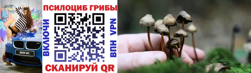 mega ссылка  Егорьевск  Псилоцибиновые грибы Psilocybe 